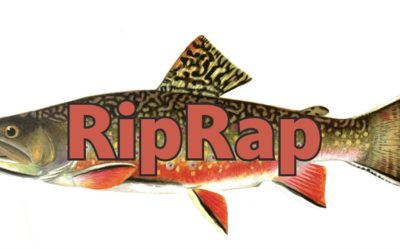 Rip Rap – Nov 2024