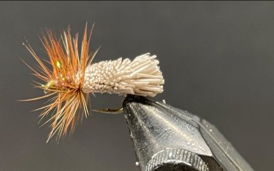 Goddard Caddis